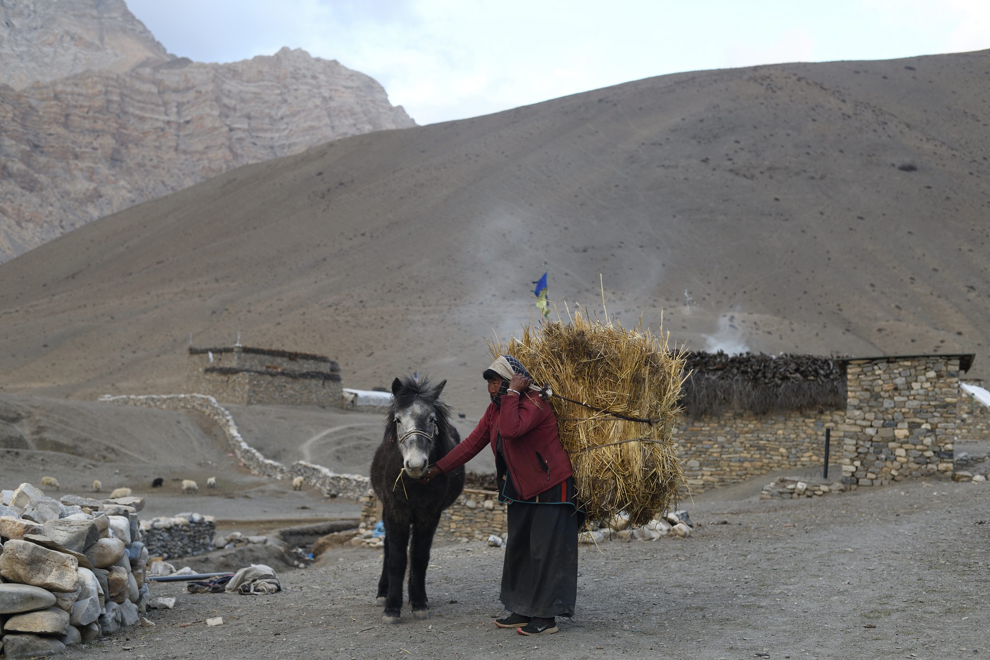 Dolpo Women with her Horse1683684256.JPG